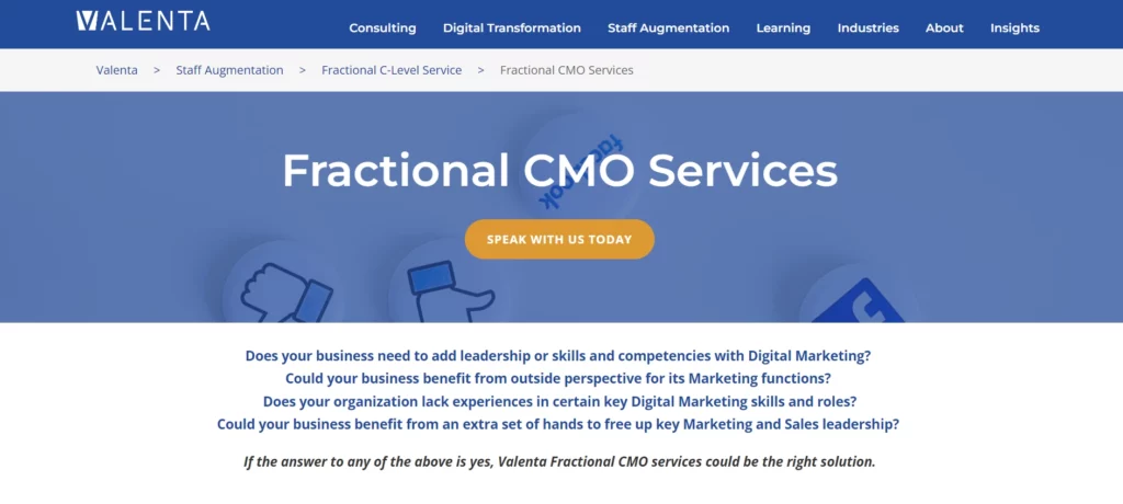 Valenta Fractional CMO Company Home Page