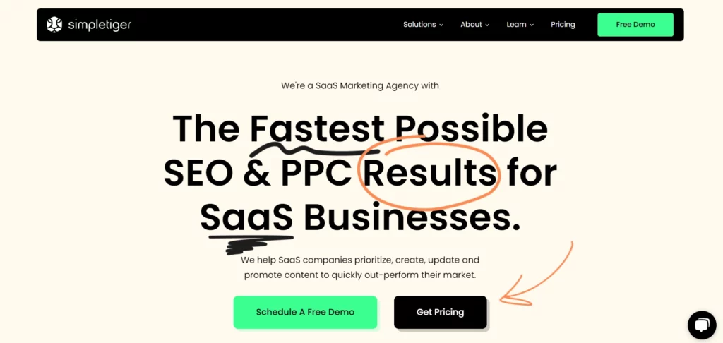 Simple Tiger SEO & PPC Agency Home Page
