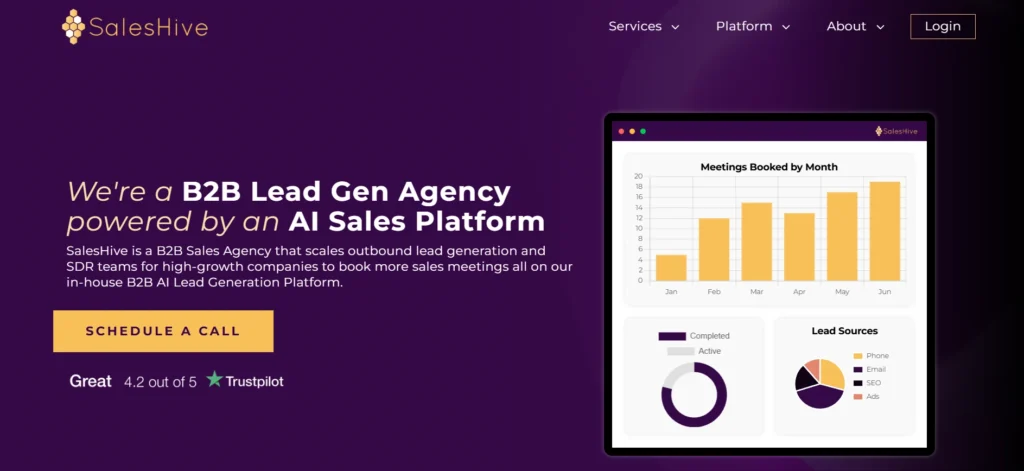 Saleshive sales as a service agency homepage
