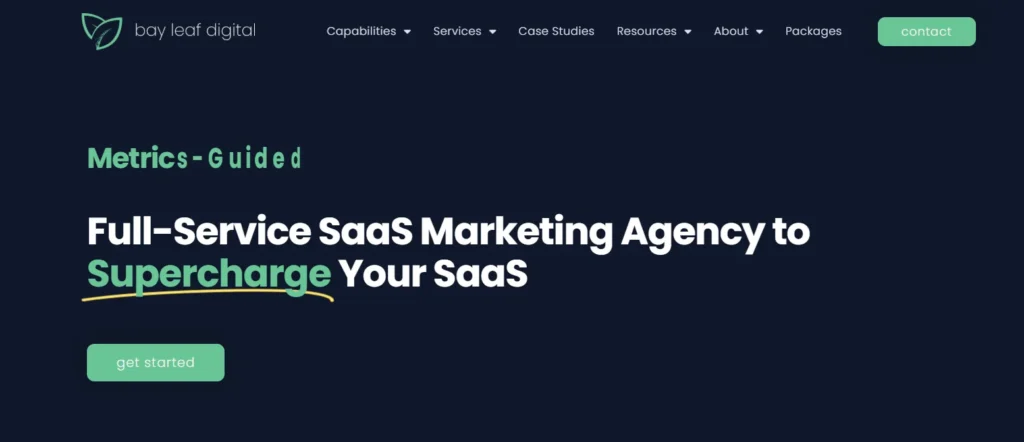 Bay Leaf Digital cold email marketing agency
