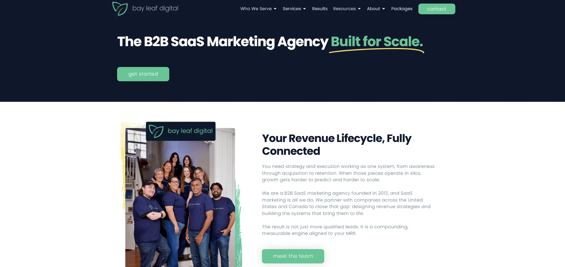 bay leaf digital homepage highlighting its AI-powered SaaS pipeline marketing services with Free AI Search Audit and Book a Call CTAs