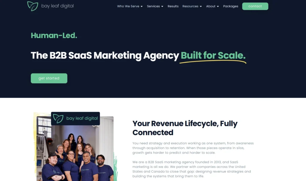  Homepage of Bay Leaf Digital
