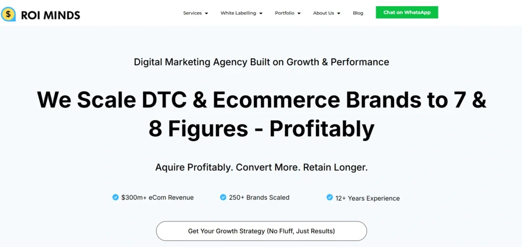 showing ROI Minds website homepage